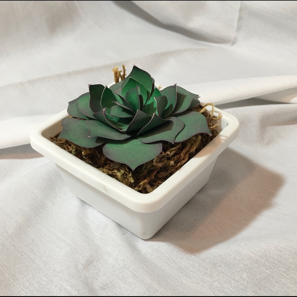 Handmade paper cactus white plastic holder moss